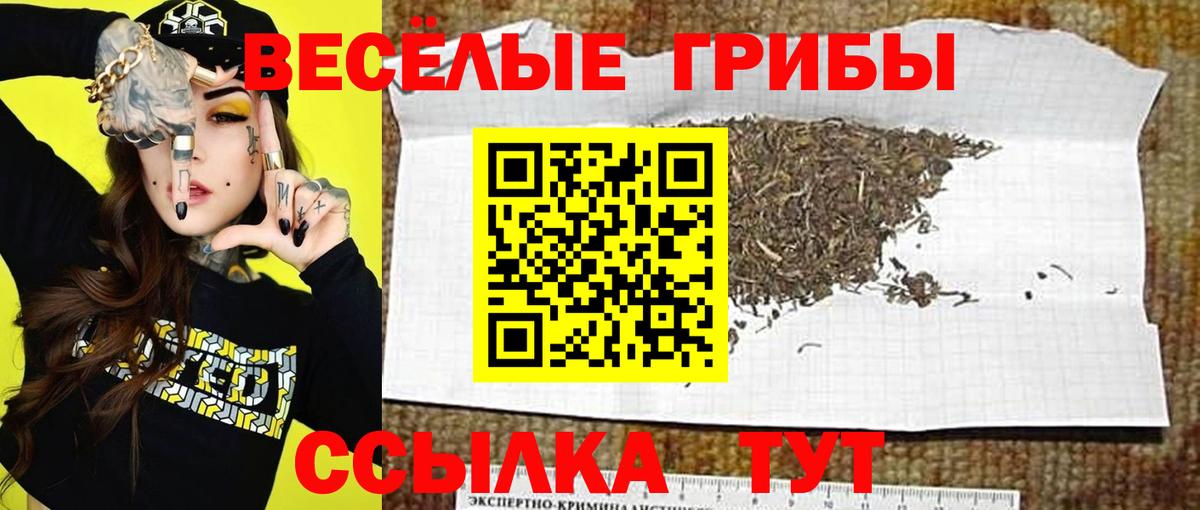 Галлюциногенные грибы Psilocybe  Галлюциногенные грибы мухоморы  Клинцы  Вход с VPN 